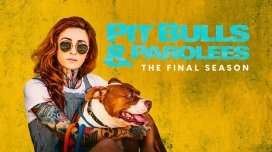 Víkendové dopoledne na Warner TV 4