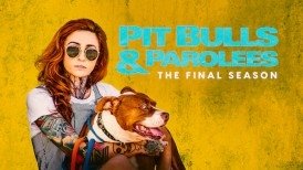 Pitbulové a propuštění trestanci