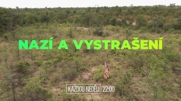 Nazí a vystrašení