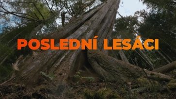 Poslední lesáci