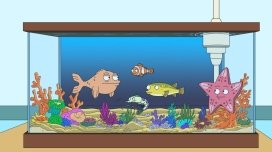 American Dad 4