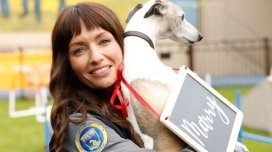 Animal Control 5