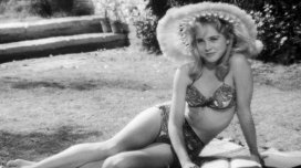 WARNER TV CLASSICS 8