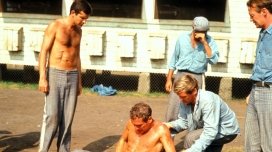 WARNER TV CLASSICS 5