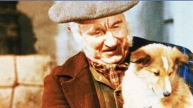 WARNER TV CLASSICS 5
