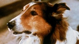 WARNER TV CLASSICS 6