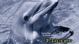 Flippers neue Abenteuer