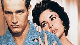 Die Katze auf dem heißen Blechdach