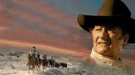 Geier kennen kein Erbarmen