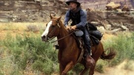 Bardzo Dziki Zachód 8