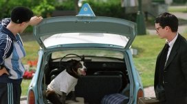 Râzi cu noi, duminică! 2