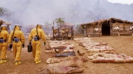 Miercuri cu Scântei 9