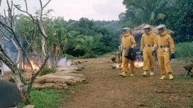 Miercuri cu Scântei 10