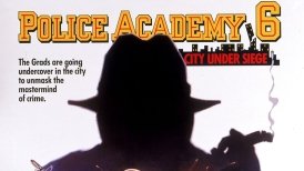 Academia de Poliție VI